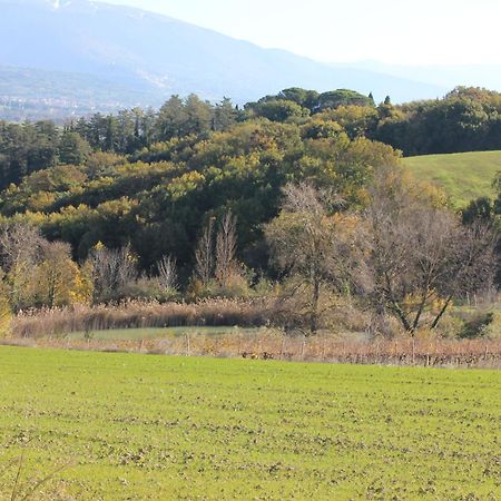 Agriturismo La Ginestrella Civitella D'Arna Bagian luar foto