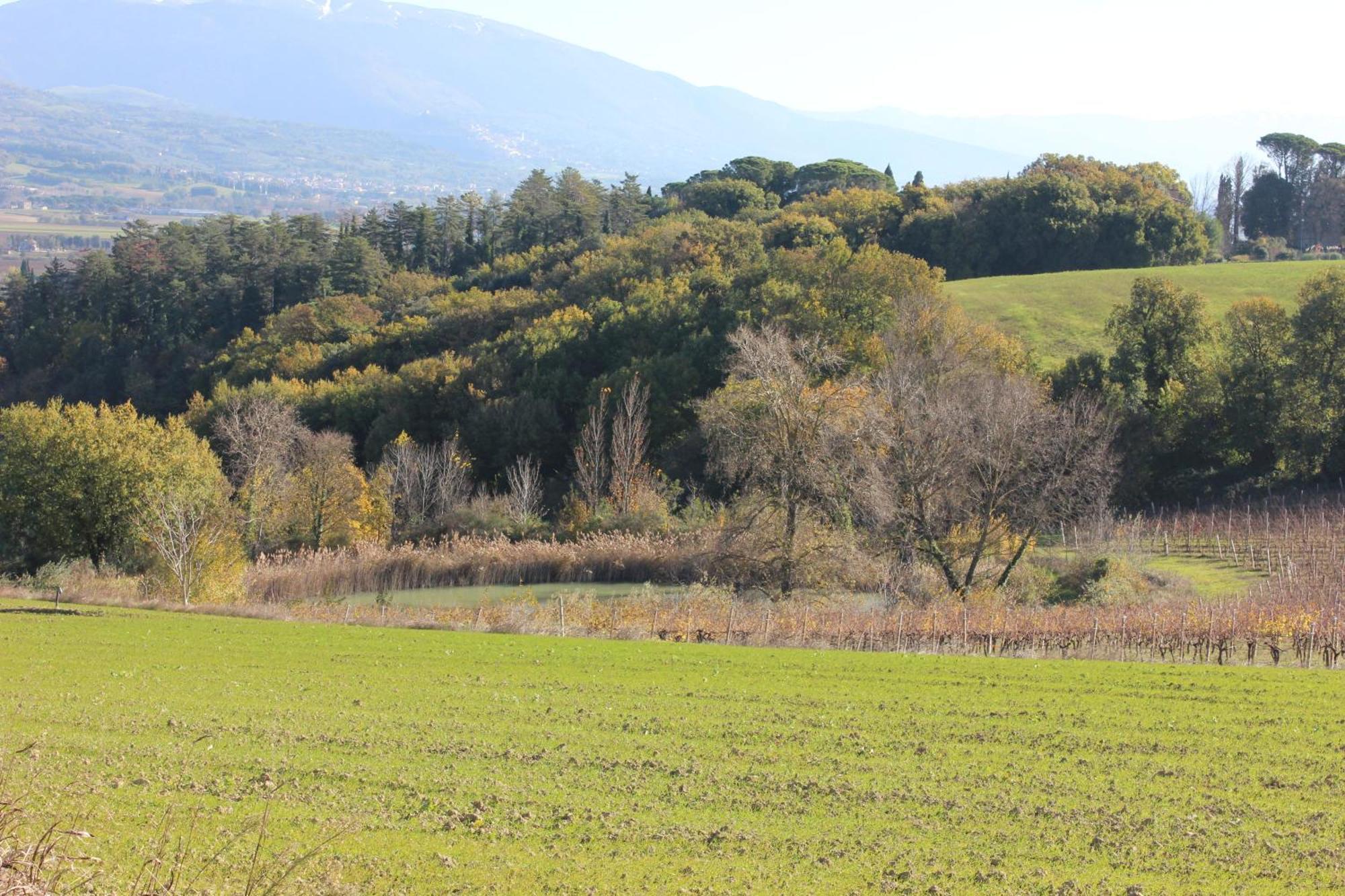 Agriturismo La Ginestrella Civitella D'Arna Bagian luar foto